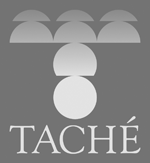 Taché